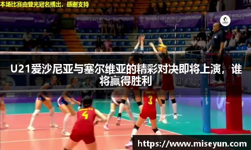 U8国际平台